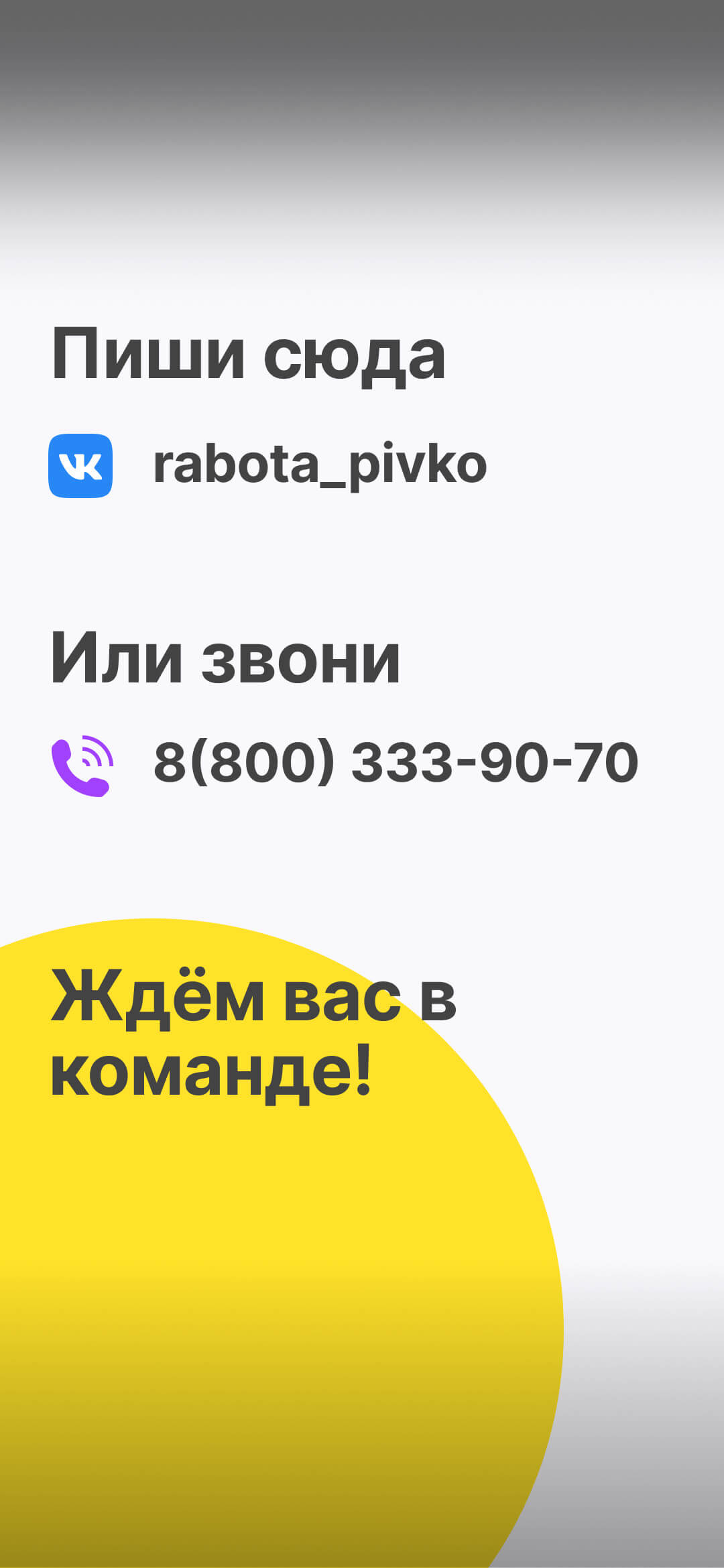 Пив&Ко 🍻 - федеральная сеть магазинов разливного и бутылочного пива в  России и Казахстане